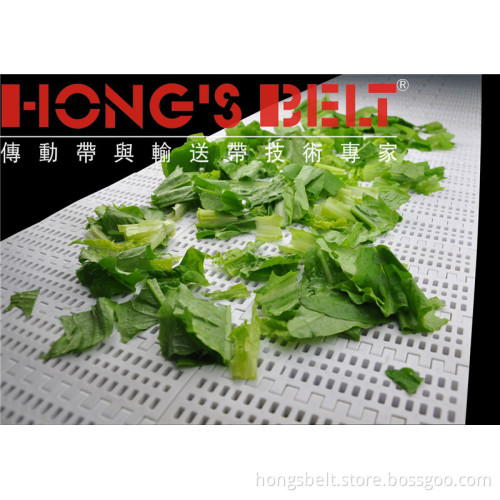 The Vegetable Industry Modular Belt (HS-100B)